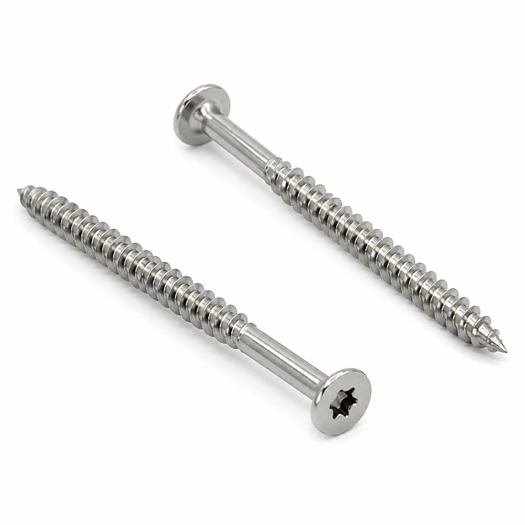 Stainless steel screws 6.0 x 100 mm